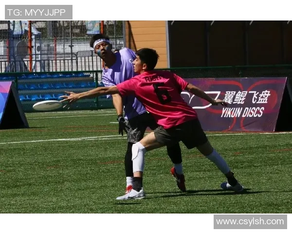 飞盘心理素质排行榜揭晓北京飞盘队荣获第三名成就非凡